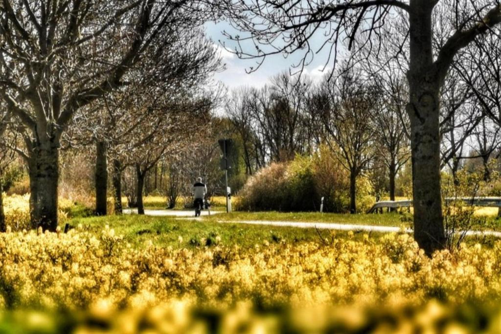 Apartmentvermittlung Mehr Als Meer - Objekt 11 蒂门多弗施特兰德 外观 照片